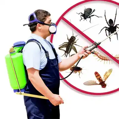 pest control Rock Hill